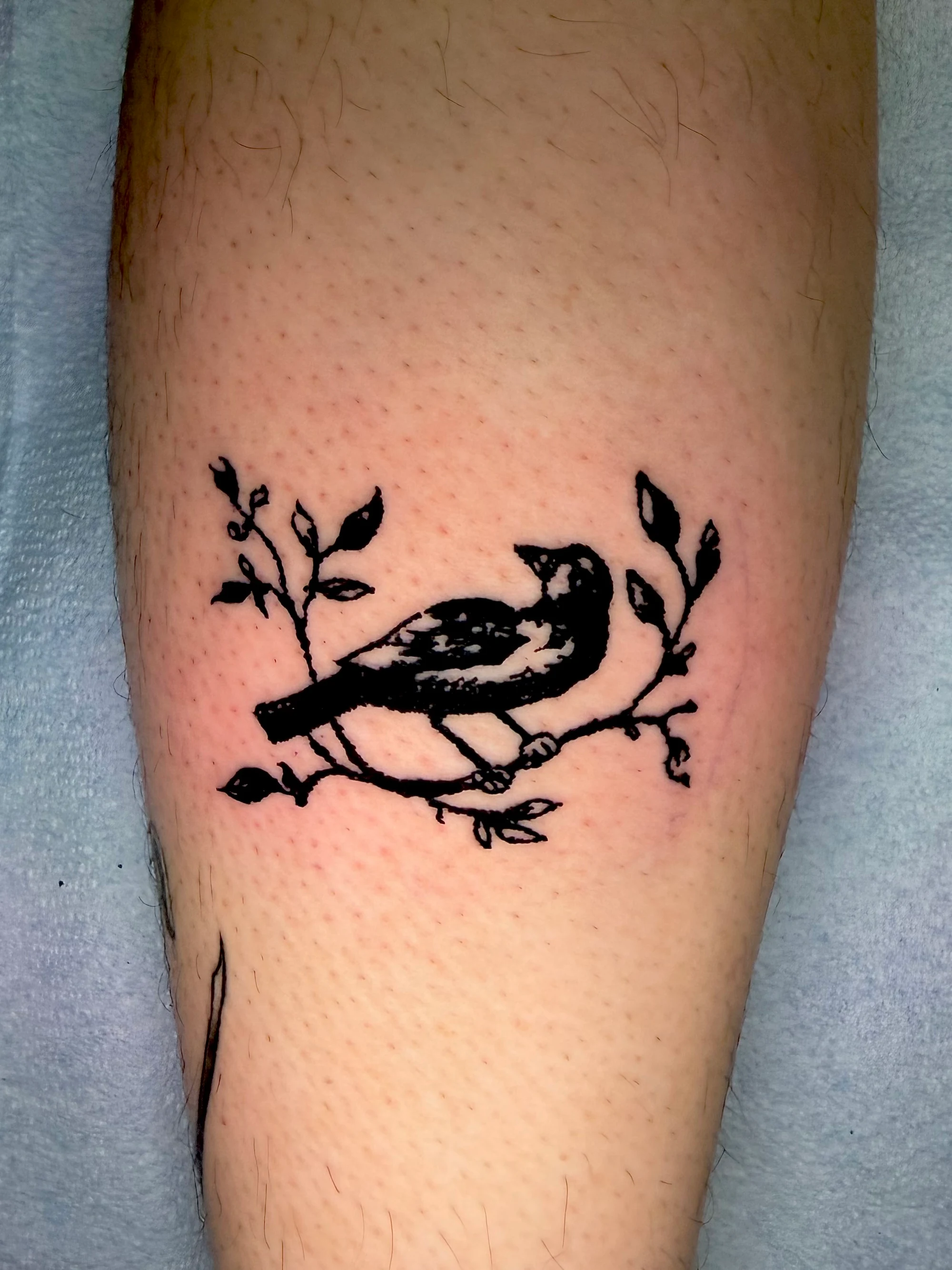 Bold blackwork bird on a branch