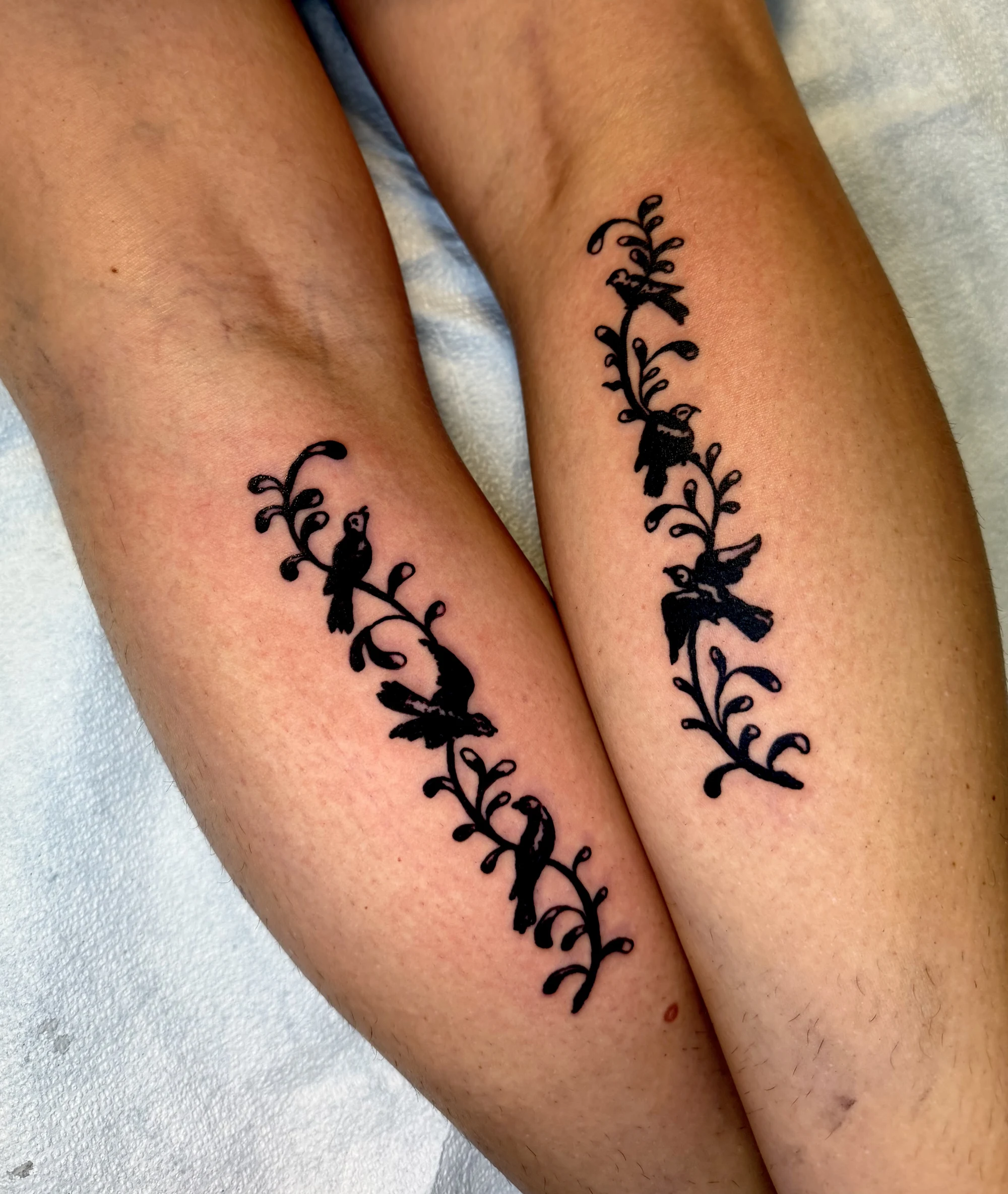 Matching bird-and-vine tattoos on two arms